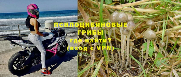 стаф Беломорск