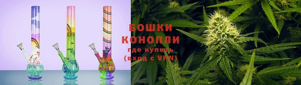 прущие крисы Белокуриха