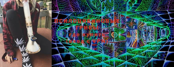 стаф Беломорск