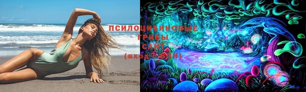 стаф Беломорск