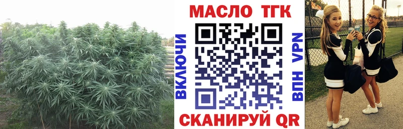 ТГК Wax купить Нижний Ломов